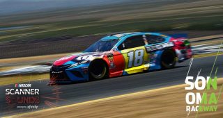 ‘I want to be stupid’: Sonoma Scanner Sounds