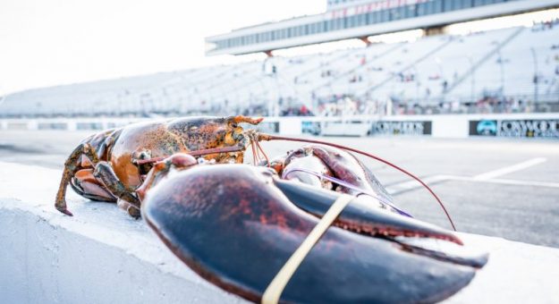 Visit Las Mejores Fotos del fin de semana julio 2019 en New Hampshire page