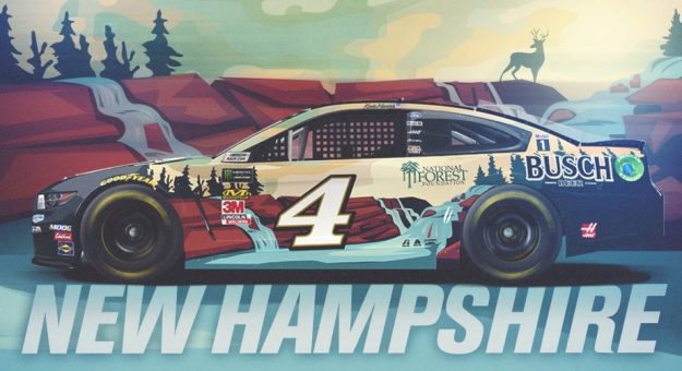 Visit Autos con nuevo look para las carreras en New Hampshire 2019 page