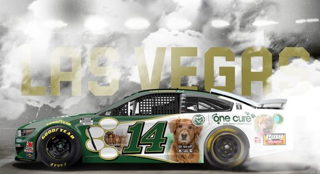 Visit Autos con nuevo look para los Playoffs NASCAR 2020 en Las Vegas page