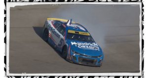 Larson Spin Nitp Site.jpg